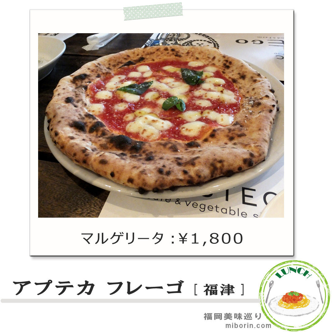 アプテカフレーゴカバー