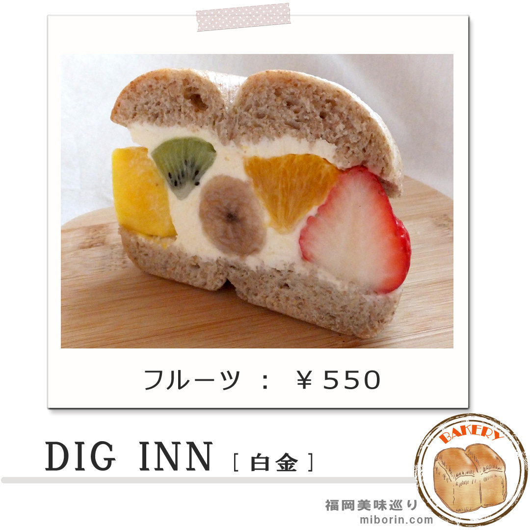 ディグインカバー