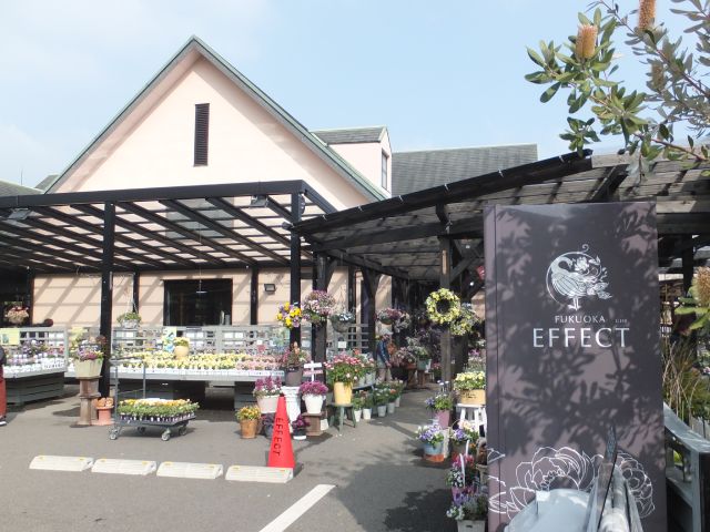 エフェクト外観