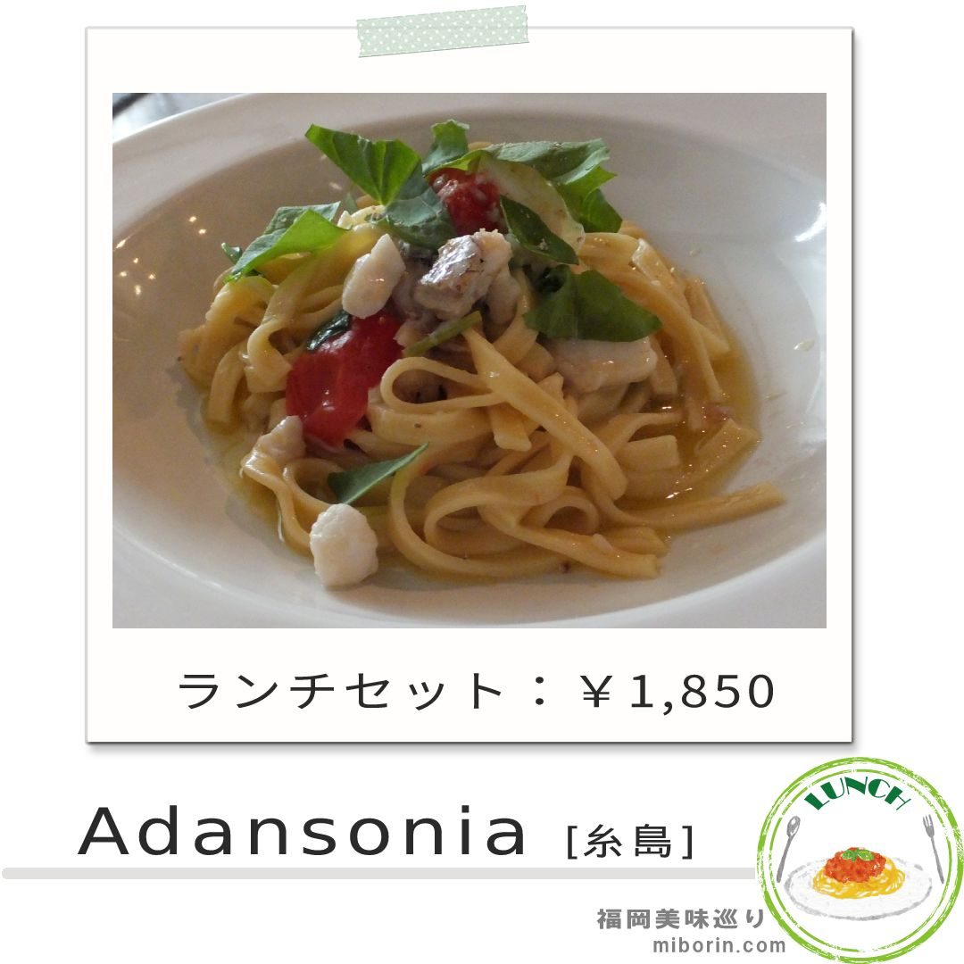 アダンソニアカバー