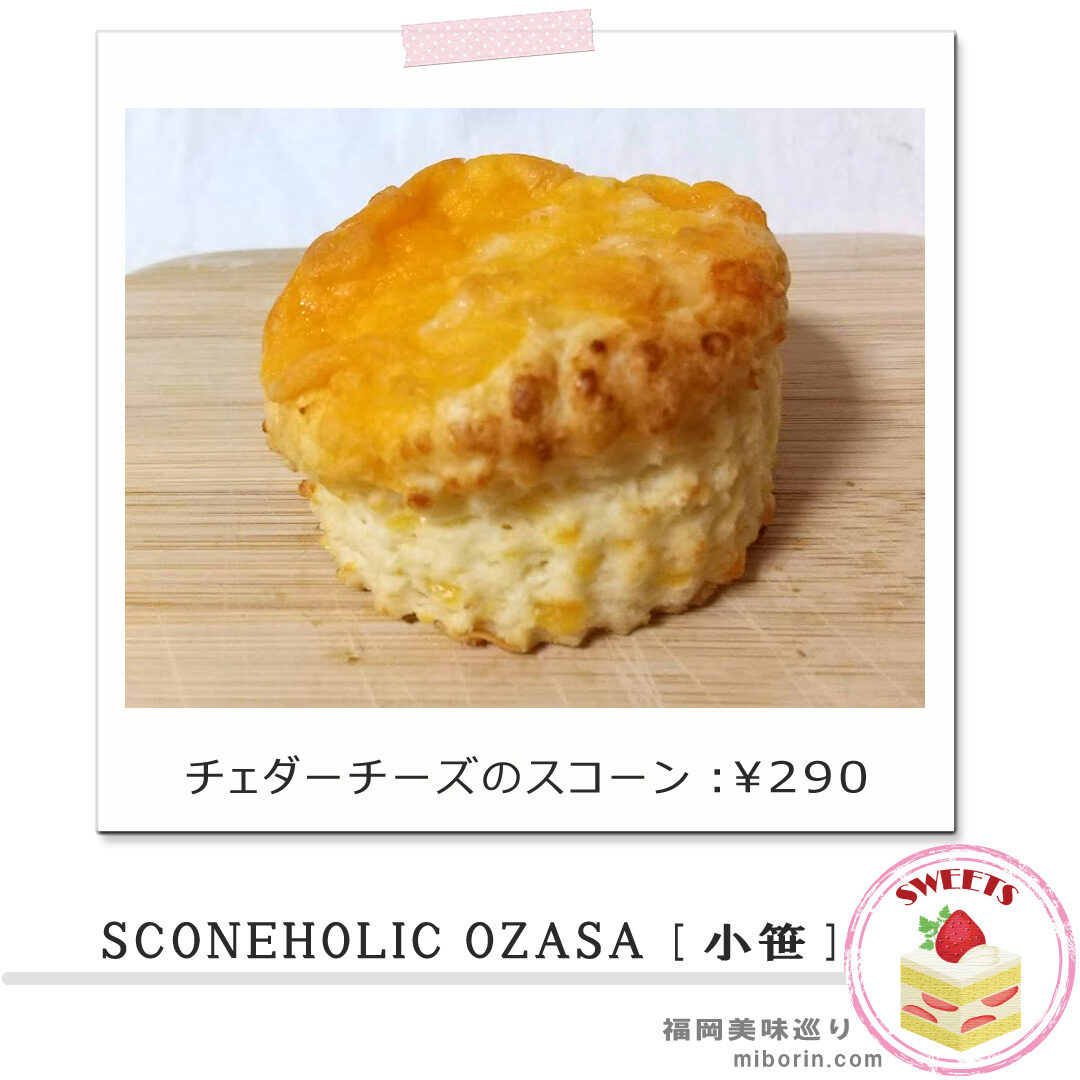 ホリックカバー